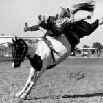 Ace Berry on the trail, rodeo news