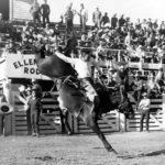 Back When they Bucked, Deb Copenhaver, Rodeo News