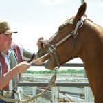 On the Trail, KC Jones, Rodeo News