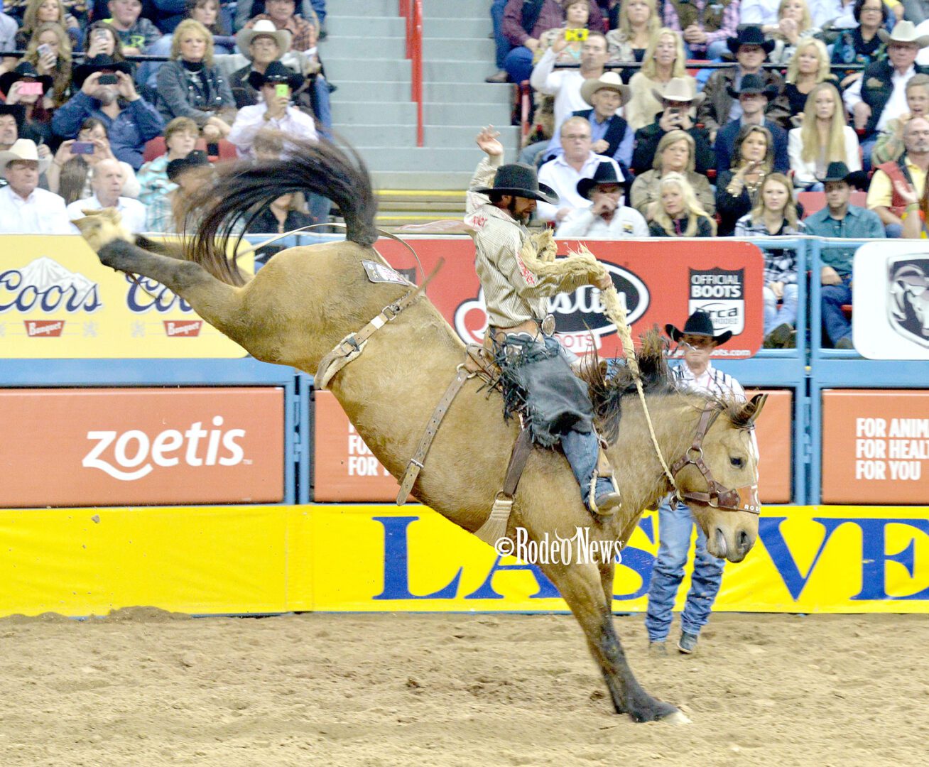 Brazile hits jackpot with gold buckle 21