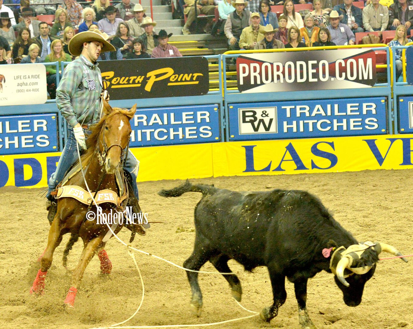 Team ropers make winning a habit