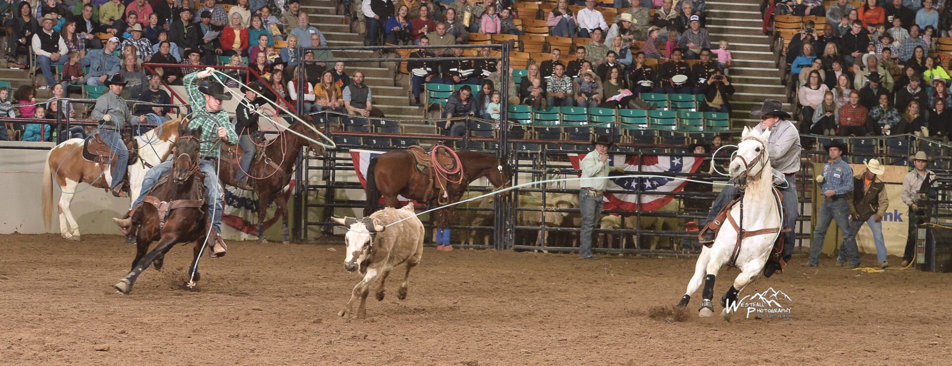 Team ropers in position to cash in at National Western
