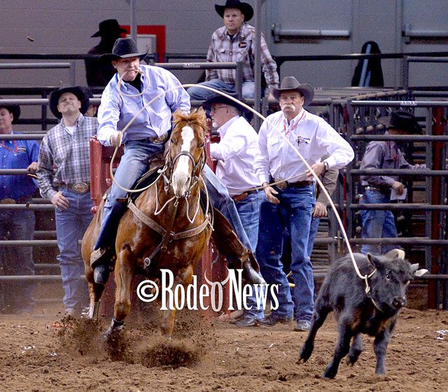 Johnson returns to elite status   