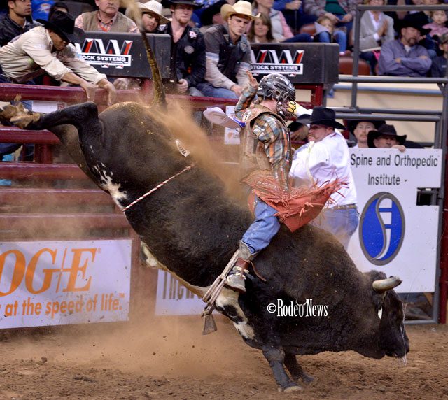 The Silver Anniversary