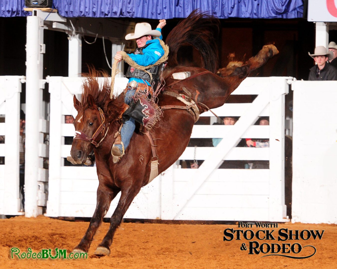 Champions crowned at 119th Fort Worth Stock Show & Rodeo