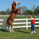 WEB_romeo-and-jw-stoker-(1)