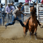 Zane tie down roping in New Castle, Wyo. - Marcy Cunningham