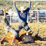 Stray gathering in New Castle, Wyo. - Marcy Cunningham