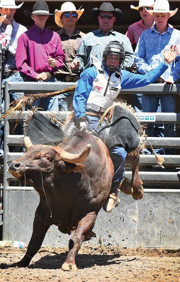 Roper Review: BoDell Jessen