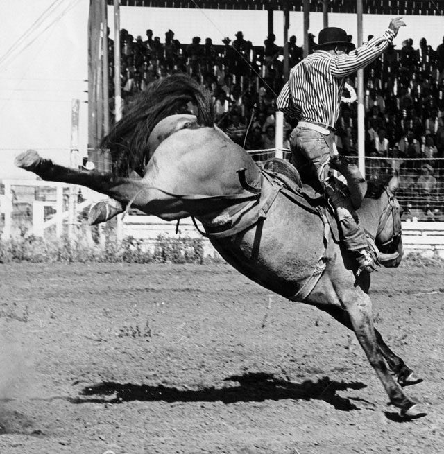 Back When they Bucked with Melvin Fields