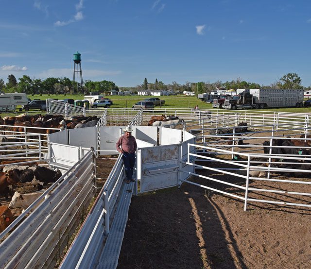 Back When they Bucked with Lynn Smith