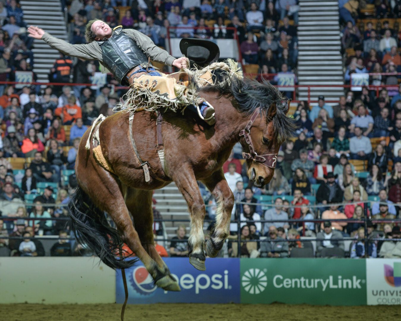 National Western Stock Show Rodeo well underway