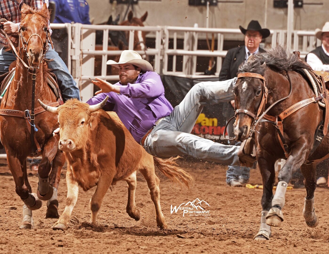 Thomas hoping for San Antonio Stock Show Rodeo