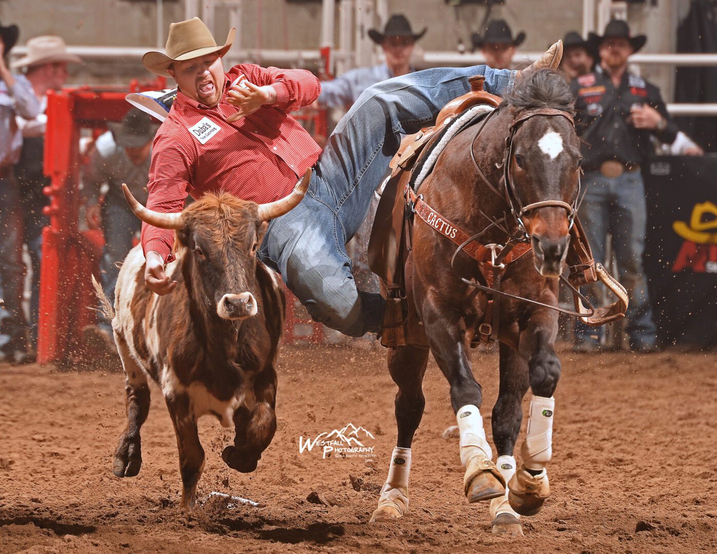 Silver riding for gold at San Antonio Stock Show Rodeo 