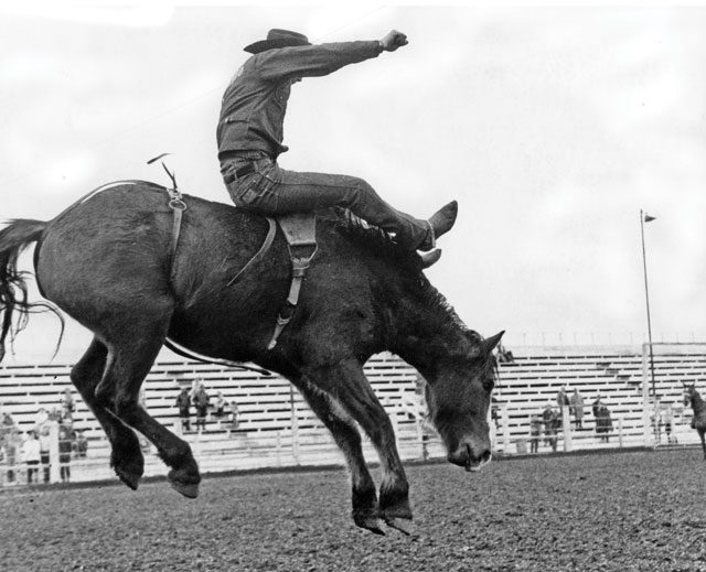 Back When They Bucked with Doc Gee