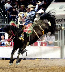 fbbradshaw_coburn_K3SB5259