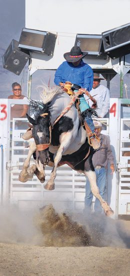 On the Trail with Lane Barton