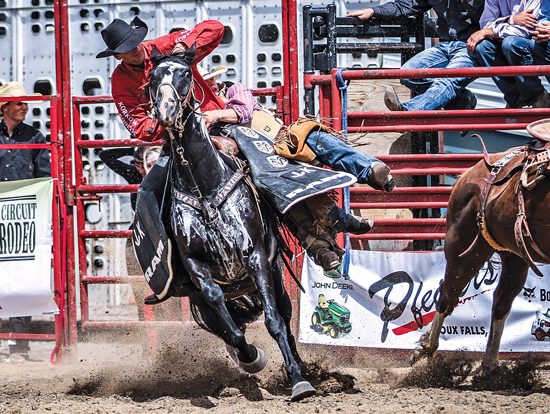 ProFile: Troy Heinert