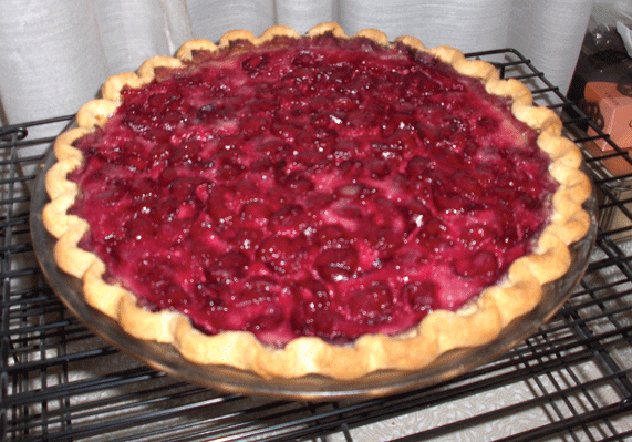 Cherry Custard Fruit Pie