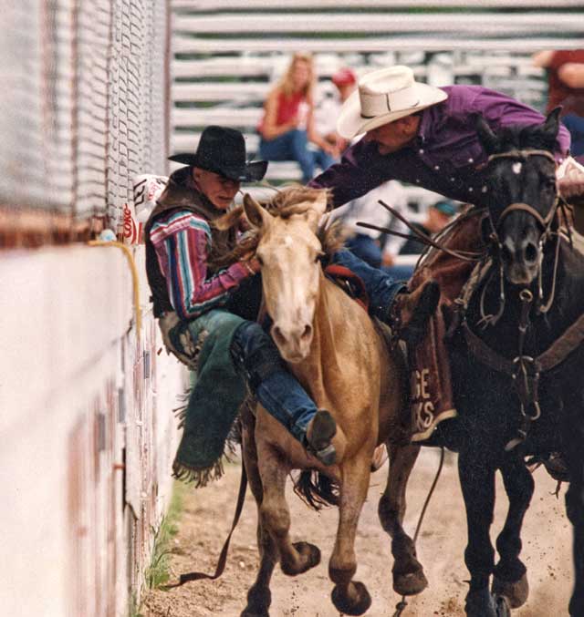 Back When They Bucked with Dick Hermann