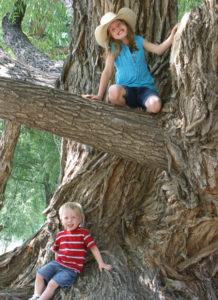 faith-cade-tree-bv-large810.jpg_WEB