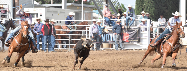 Roper Review: Chad Masters