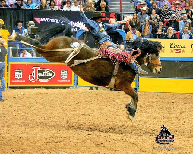 Lipstick N Whiskey passed away