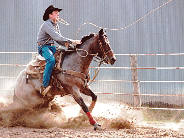 Breeding with Brains