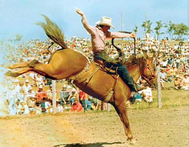 Back When They Bucked with Tom Miller