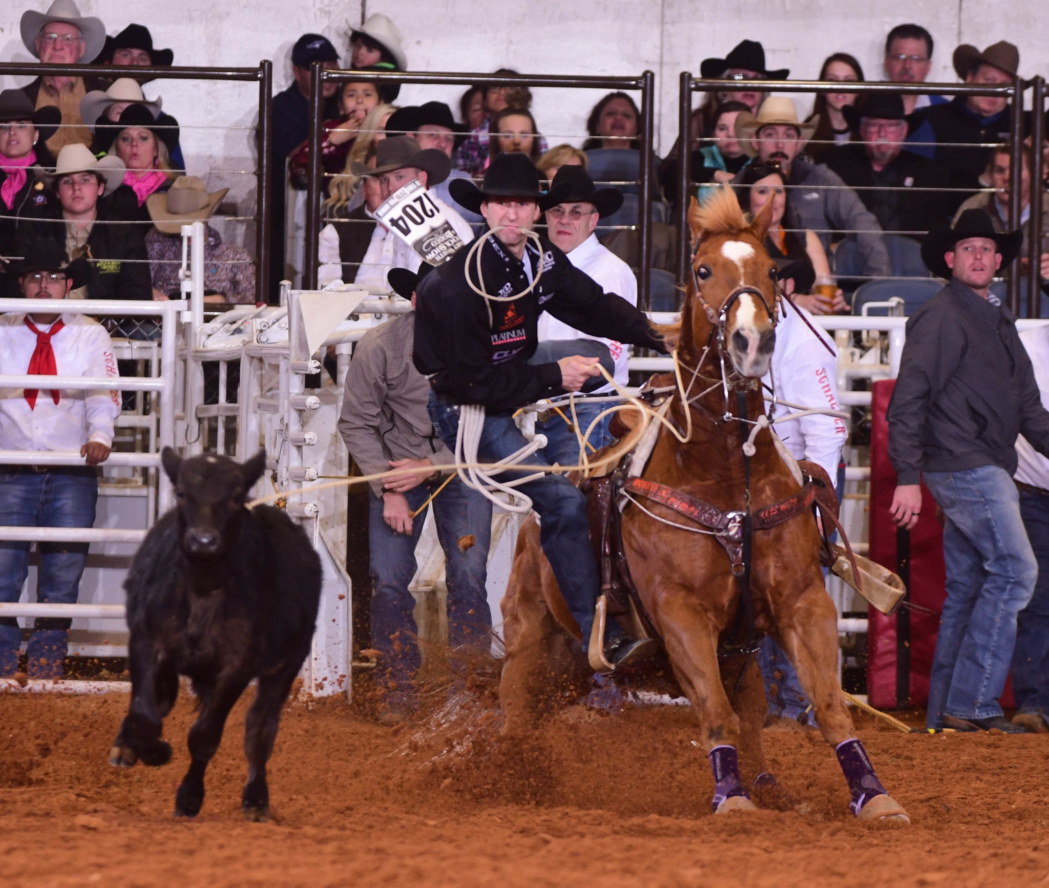Champions crowned at Fort Worth Stock Show & Rodeo