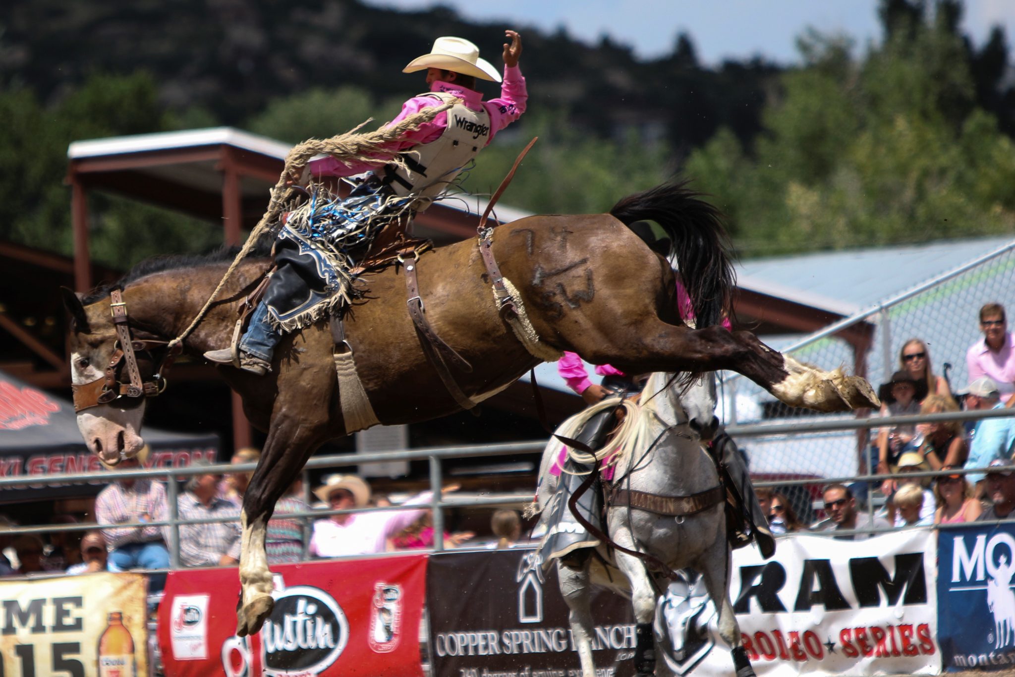 The Douglas County Fair & Rodeo
