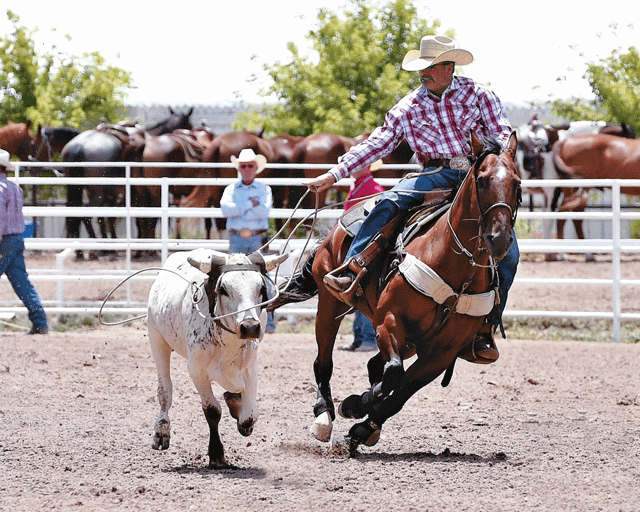 Roper Review: Scott Stickley