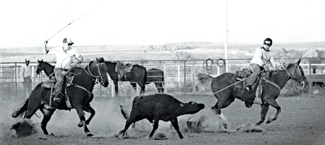 Back When They Bucked with Dr. Donald Mitchell