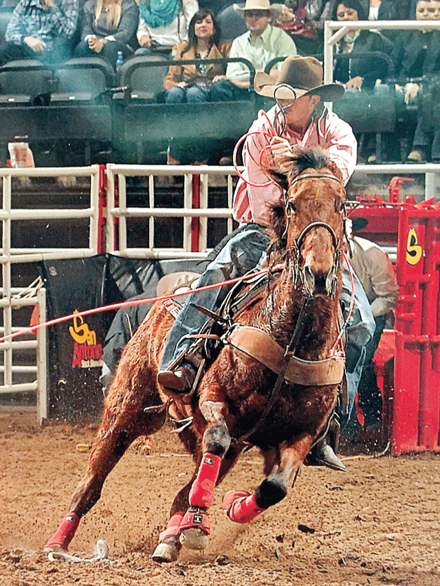 Roper Review: Lane Ivy