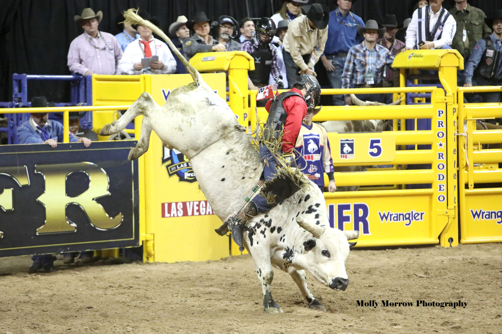 Saddle bronc riders Scheer, Thurston split Round 6, set round record