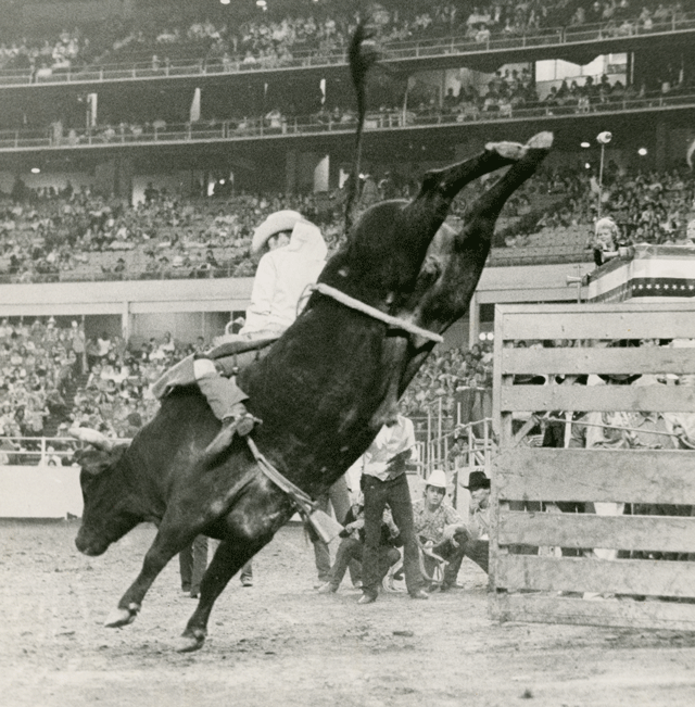 Back When They Bucked with Ronnie Bowman