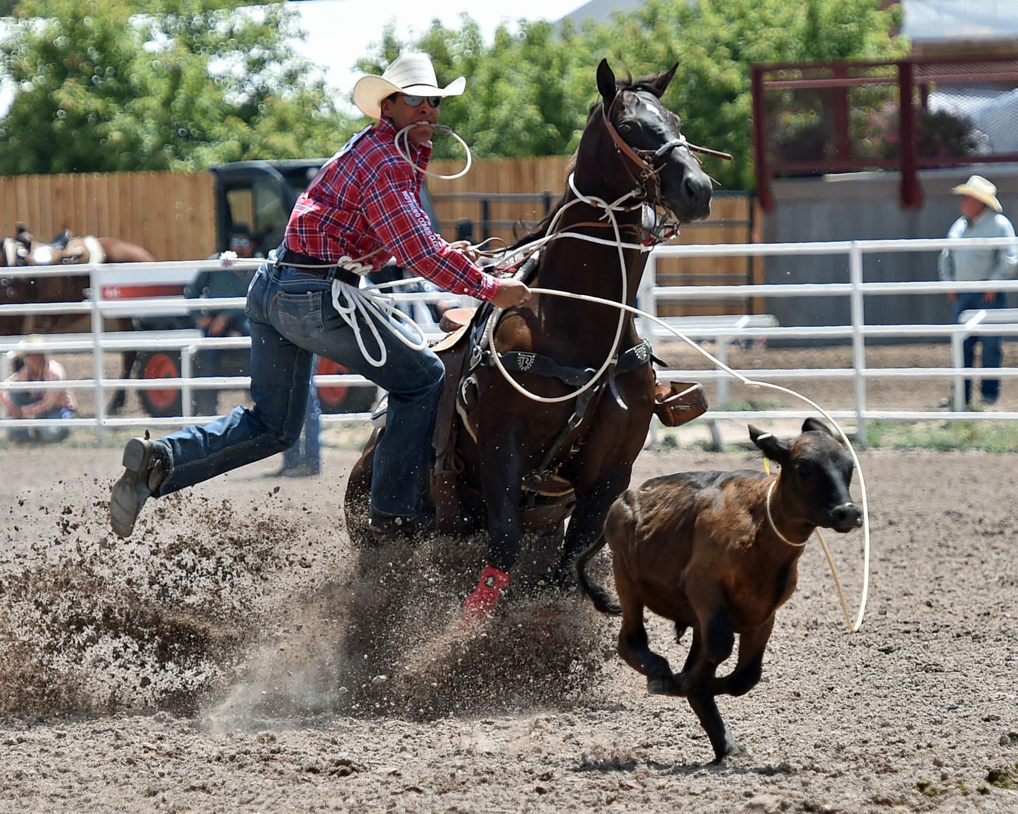 High School Champion looking for Cheyenne championship