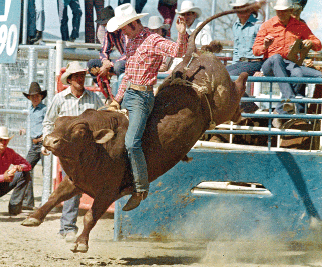 Back When They Bucked with Terry Peek