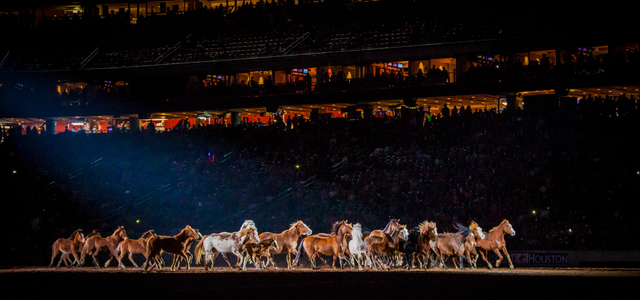 PRCA announces 2019 Award Nominees and 2019 NFR Personnel