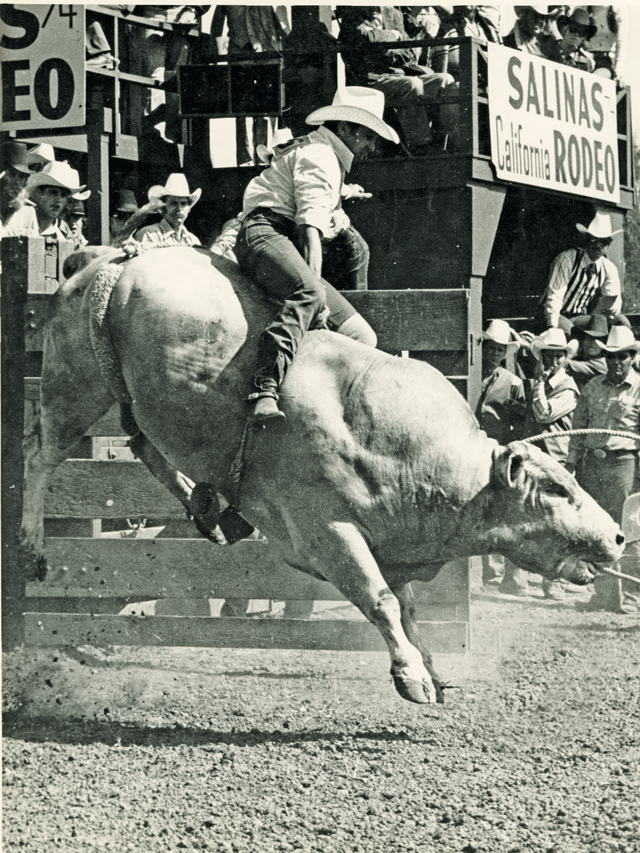Back When They Bucked with Lee & Dixie Wheaton