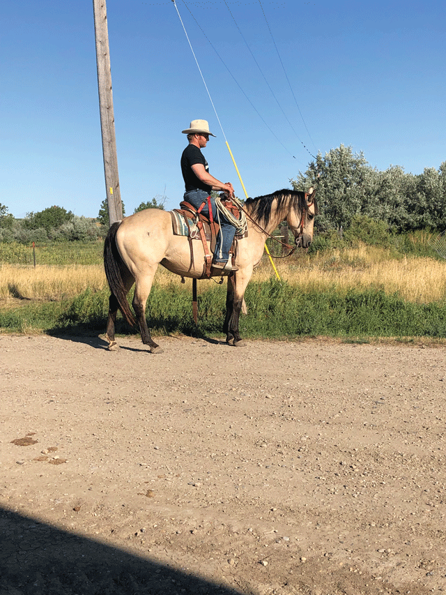 Building Your Foundation