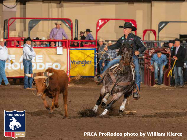 Trevor Brazile captures seventh steer roping gold buckle