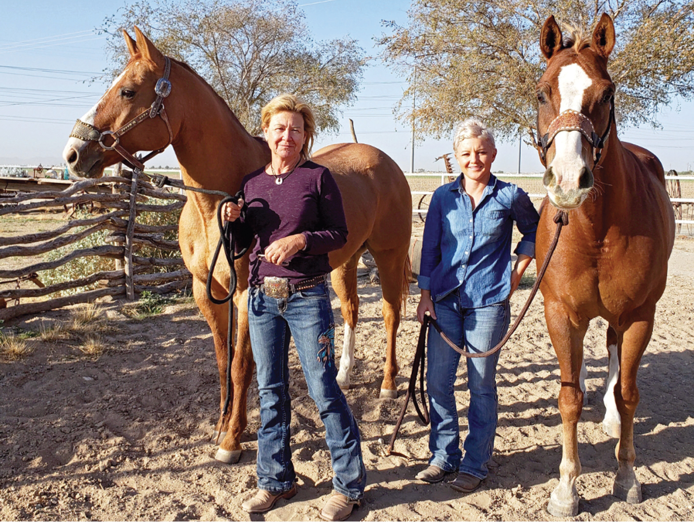 Art of Rodeo: Circle M Custom Hides