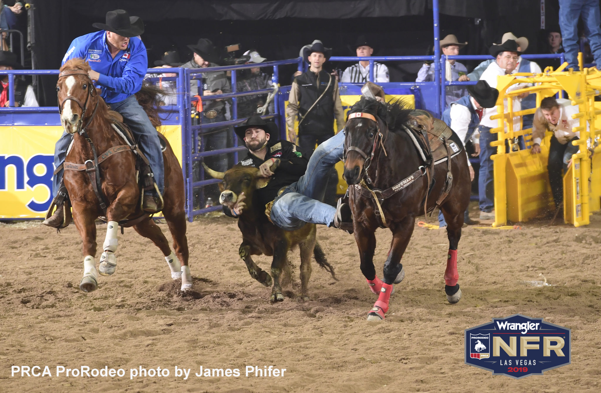 Tie-down roper Shane Hanchey wins another round at Wrangler NFR