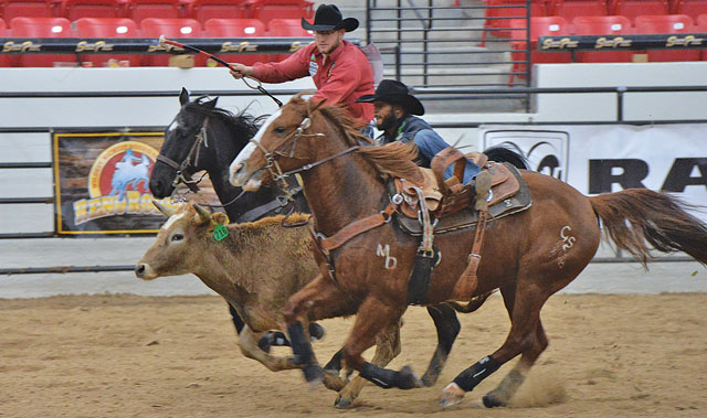 ProFile: Tory Johnson