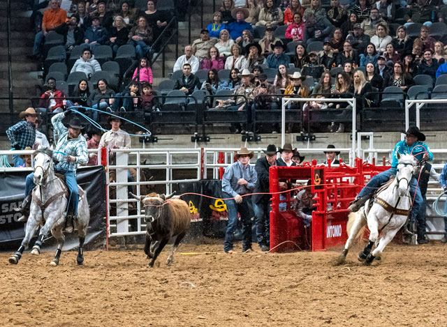 Team Roping Record Falls at San Antonio Rodeo