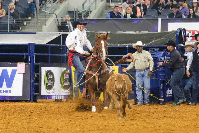 7th Year for The AMERICAN