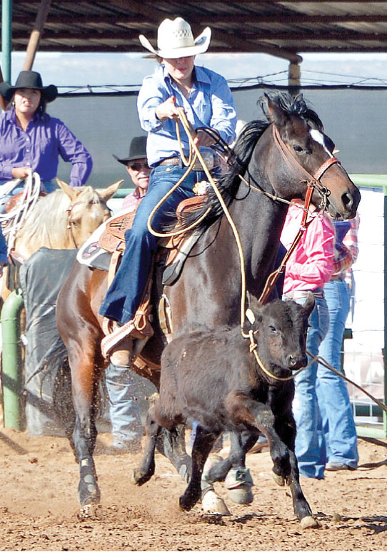 NMHSRA Meet the Member: Natalie Larabee