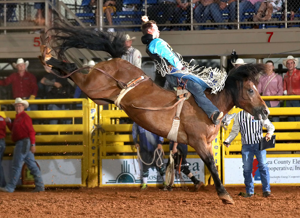 Scarlet’s Web dies at 19