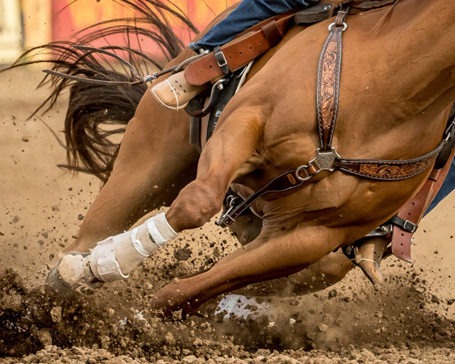 WPRA Announces 2020 Justin Best Footing Award Winners